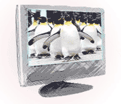 Graphics cards and monitors - pretty essential!