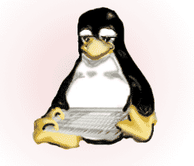 The other bits and peices, mouse, keyboard etc!