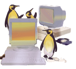 The other bits and peices, mouse, keyboard etc!